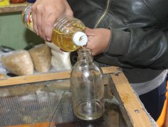 Хүн амын 27 хувь нь хүнсний болон хүнсний бус хэрэглээгээ хангаж чадахгүй нөхцөлд амьдарч байна