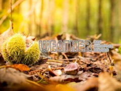 ЦАГ АГААР: Улаанбаатарт өдөртөө 5 хэм дулаан