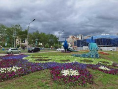 Улаанбаатар хотын 110 байршилд 920 мянга гаруй цэцэг тарьжээ 