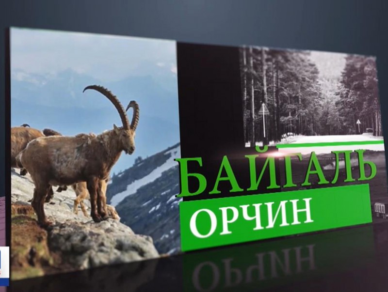 Говийн бүсэд цөлжилт, газрын доройтлыг бууруулахад модыг үр дүнтэй ...