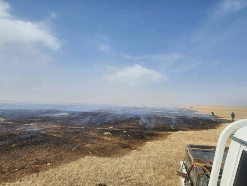 Дорнод аймгийн Халхгол суманд гарсан хээрийн түймрийг унтраахаар ажиллаж байна