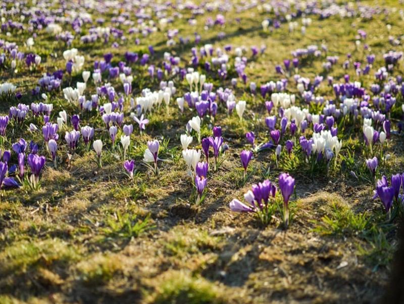 Ирэх 10 хоногт цаг агаар ямар байх вэ