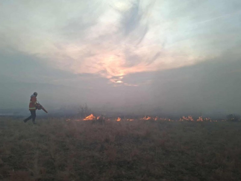 Ой, хээрийн гурван түймрийг бүрэн унтрааж, дөрвөн түймрийг цурамд орууллаа
