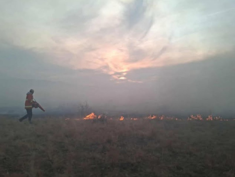 Иргэн та ой хээрийн түймрээс урьдчилан сэргийлээрэй