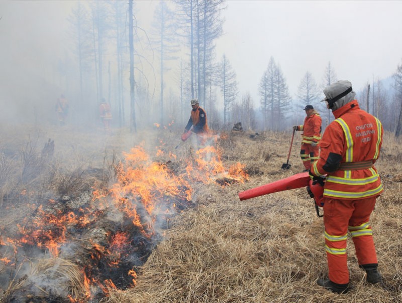 Улсын хэмжээнд 48 удаагийн ой, хээрийн түймэр бүртгэгдэж, 229 мянган га талбай өртсөн байна