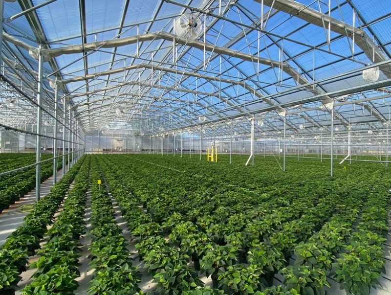 Ц.Идэрбат: Хүлэмжийн аж ахуй эрхлэгчдэд зориулж хүүгүй урт хугацаатай зээл олгох шийдвэрийг гаргалаа