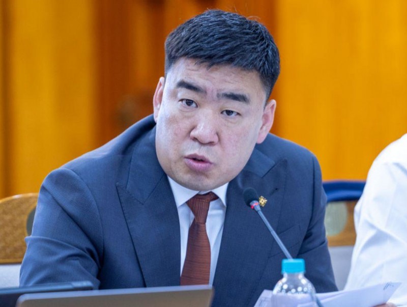 ЗГ: Эх оронч худалдан авалтыг дэмжиж, цахим дэлгүүрт байршуулна