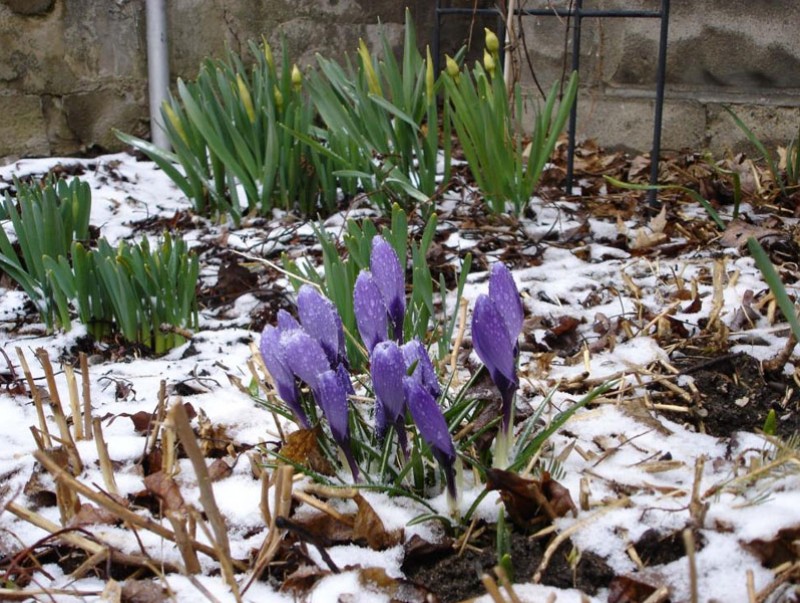 Ойрын 10 хоногт цаг агаар ямар байх вэ