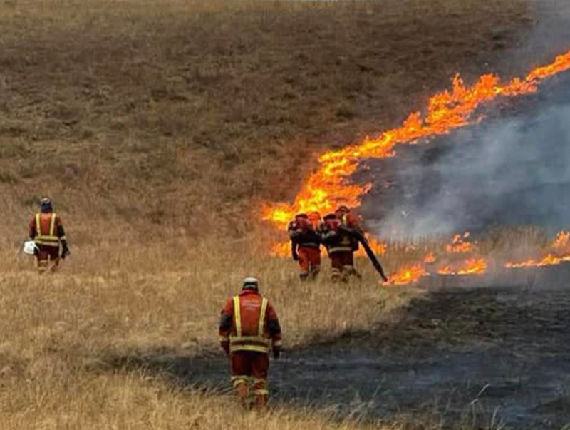 Дорнод, Сүхбаатарт гарсан дөрвөн түймрийн гуравыг бүрэн унтрааж, нэгийг нь цурамд орууллаа