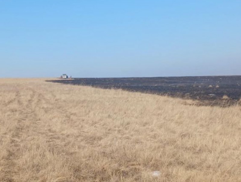 Дорнод аймгийн Дашбалбар суманд гарсан хээрийн гал түймрийг цурамд оруулжээ